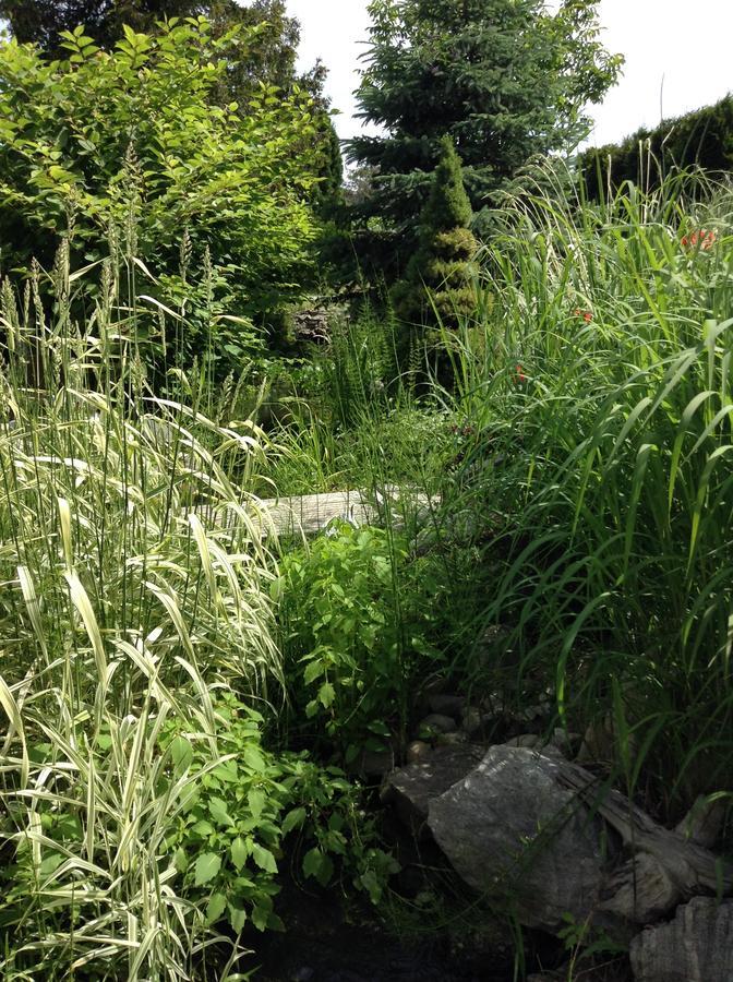 All Seasons Bed & Breakfast Kelowna Extérieur photo